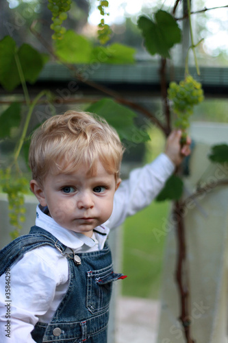 Adorable toddler with blond hairs eating grapes