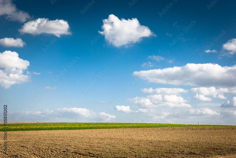 agricultural field agricultural field