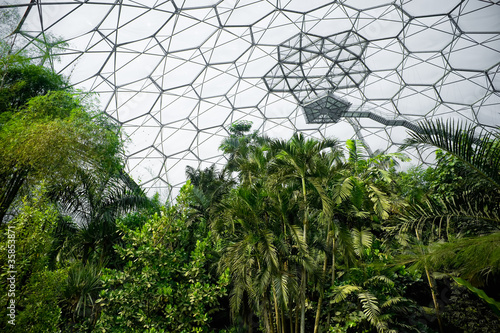 tropical rainforest vegetation inside a manmade bio-dome
