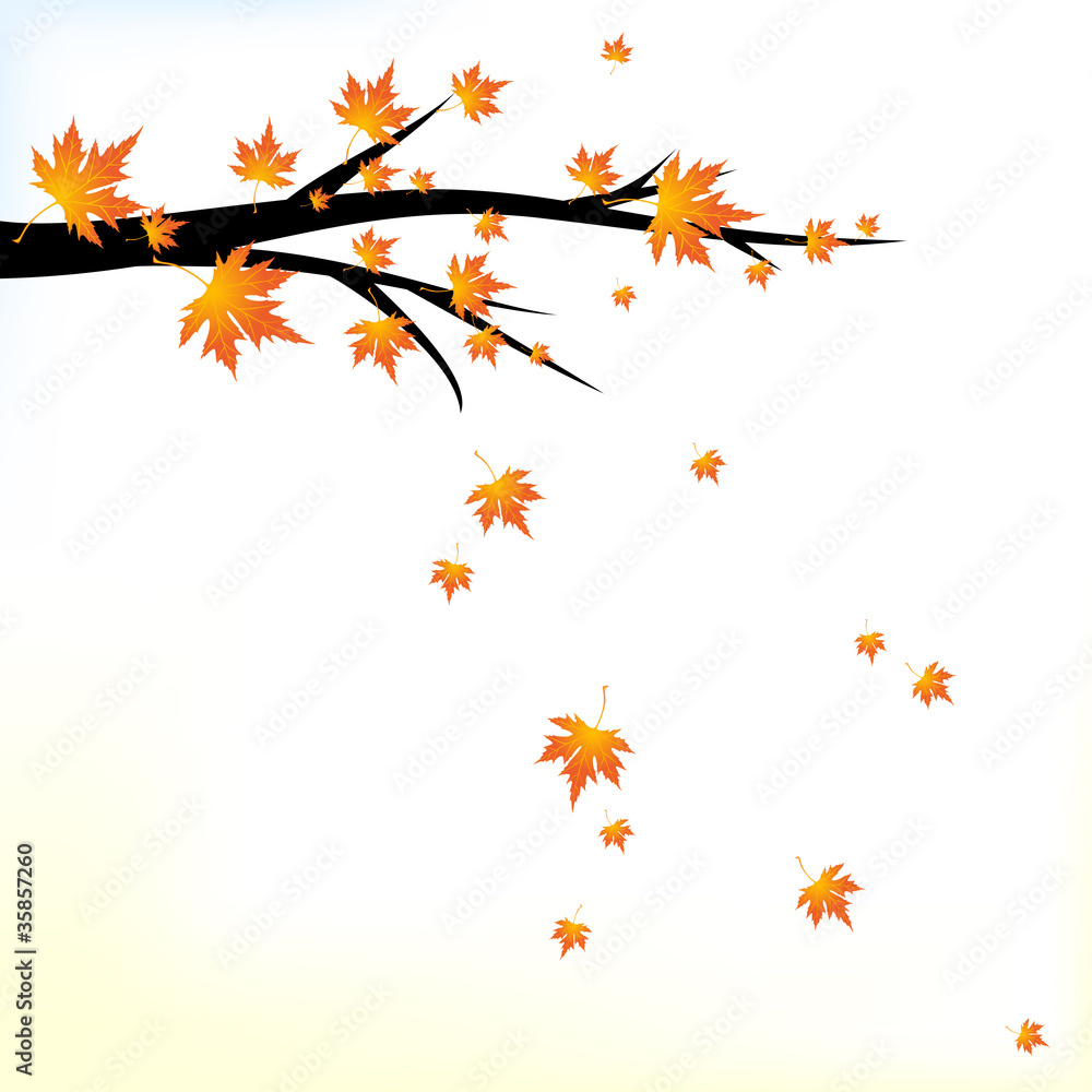 Autumn branch with falling leaves Autumn branch with falling leaves