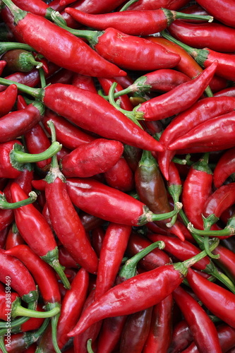 Pimientos rojos