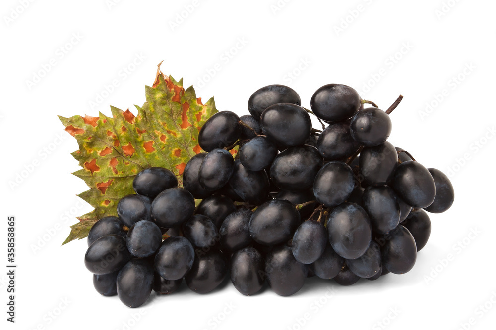 Fototapeta premium grape with an autumn leaf