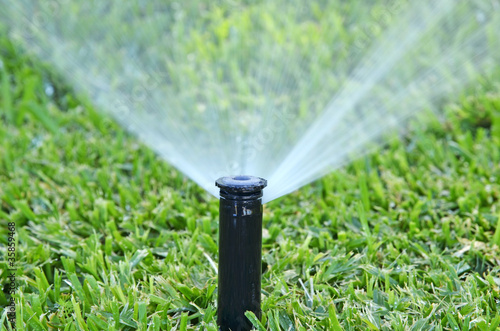 automatic lawn sprinkler