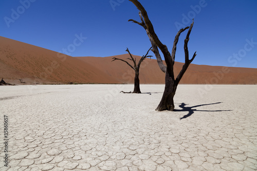 Dead Vlei in Namibia