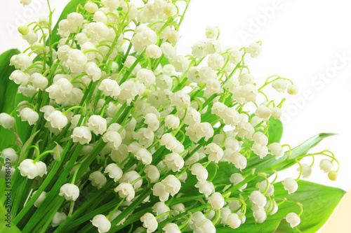 Fototapeta Naklejka Na Ścianę i Meble -  Flowers