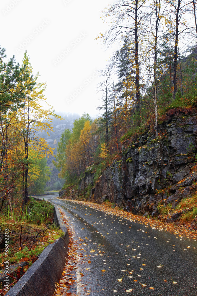 Autumn road Autumn road