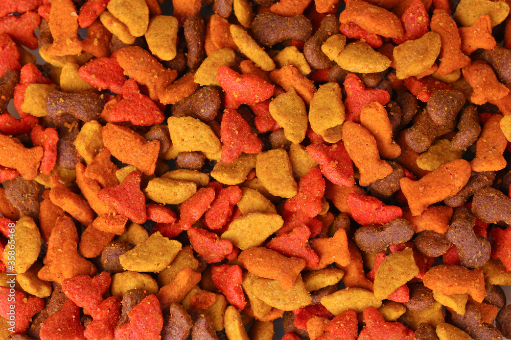 Dry cat food close-up Dry cat food close-up