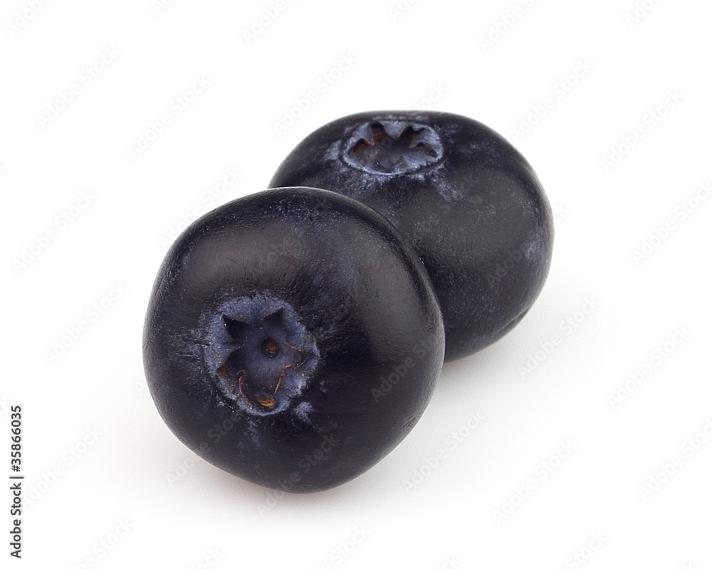 Blueberry in closeup Blueberry in closeup
