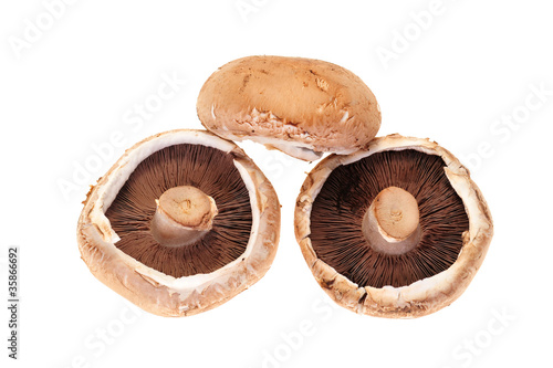 Fresh Mushrooms, Portabella