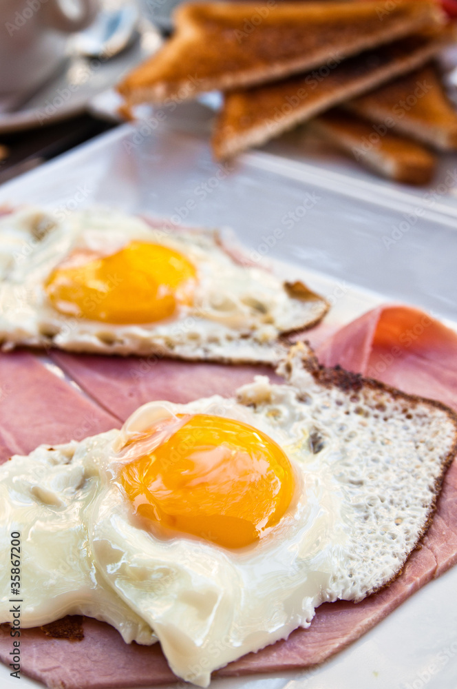 Fototapeta premium Prepared Egg - prepared egg under the sun