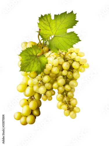 grappolo di uva con foglie