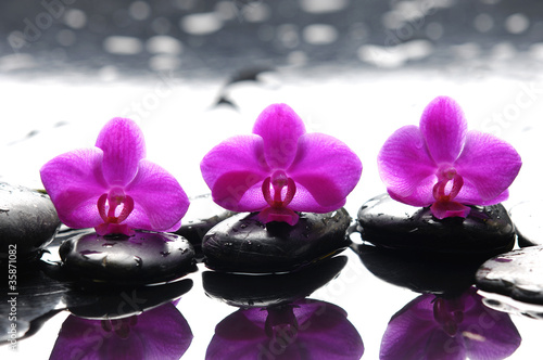 Three zen stones and three orchids with reflection