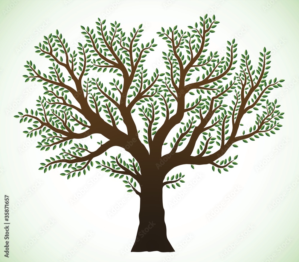 Tree illustration Tree illustration