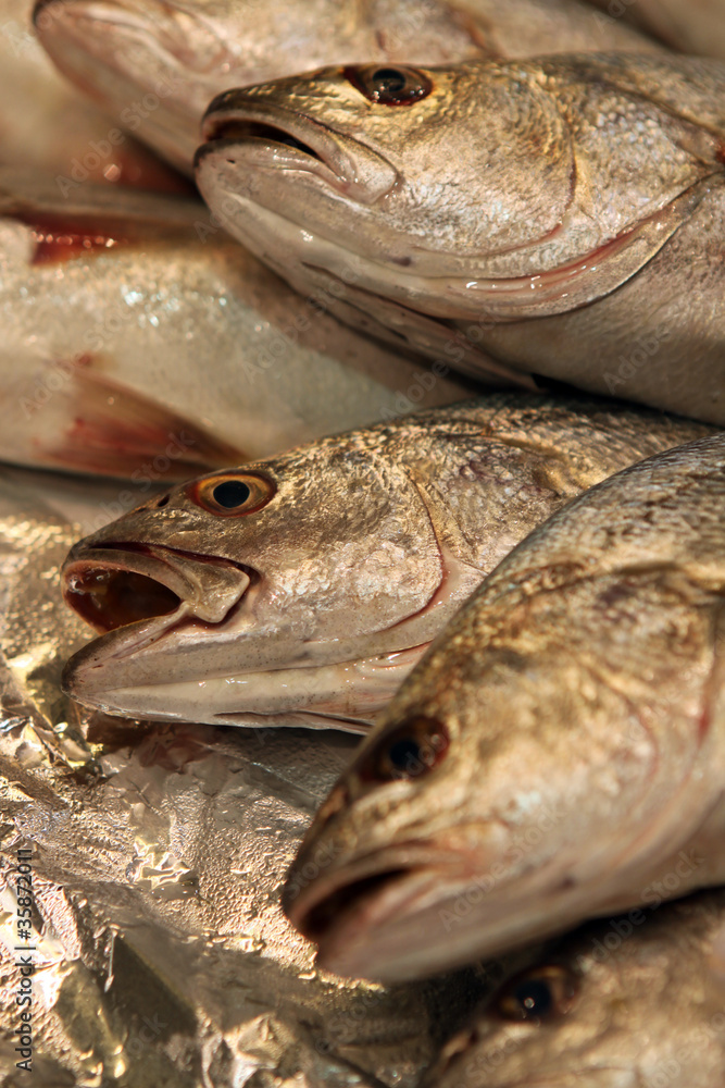Fresh Fish Fresh Fish