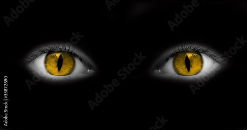 Yeux jaunes catwoman, oeil mi femme mi chat, arrière-plan fond noir,  regard effrayant et mystérieux, Halloween photo
