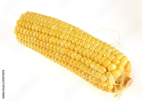 Ripe yellow corn on the cob on a white background. photo