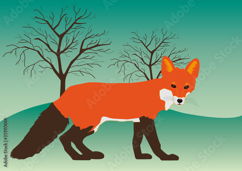fuchs