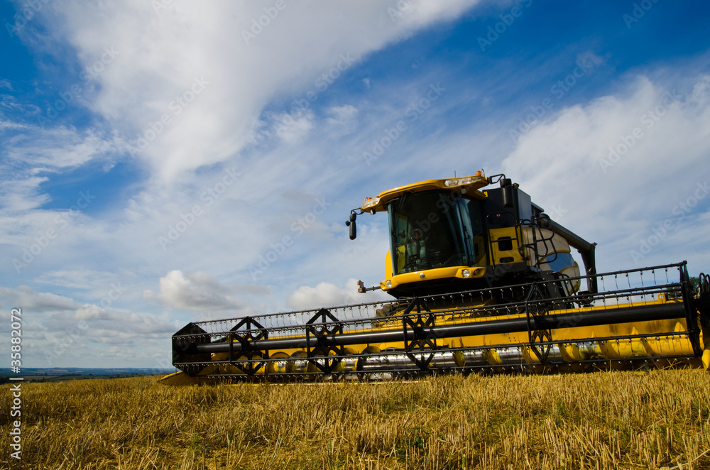 Fototapeta premium combine harvester