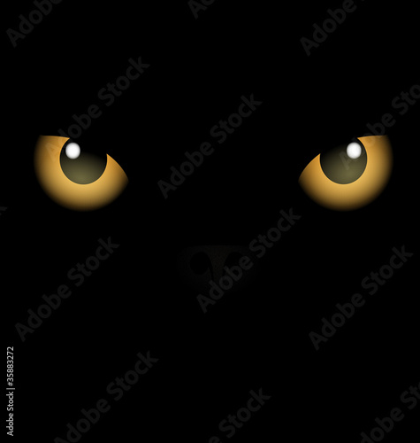 black background yellow eyes