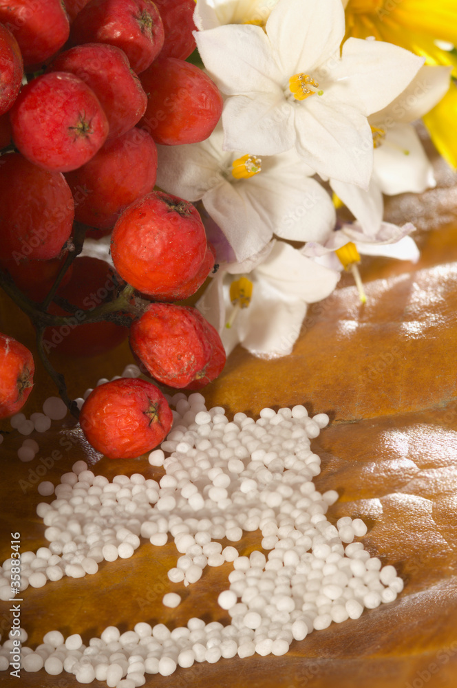 Fototapeta premium Globuli mit Jasmin Beeren und Blume