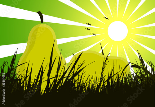 pears on grass