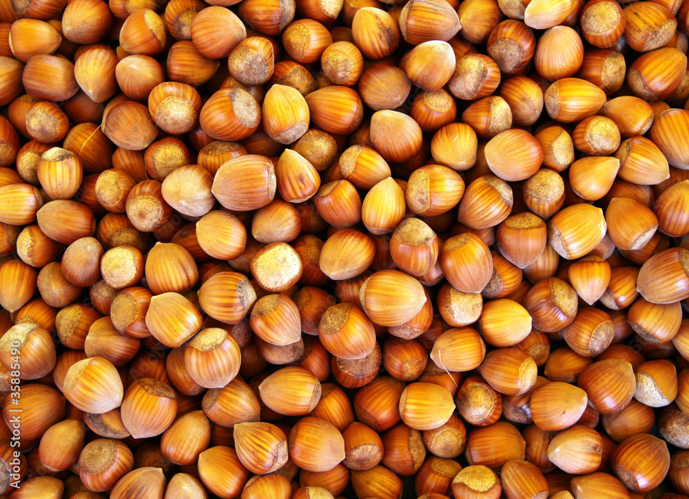 Hazelnuts