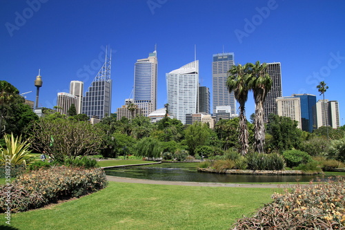 Sydney Skyline with botanic garden