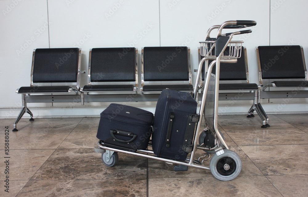 Maletas en el carrito