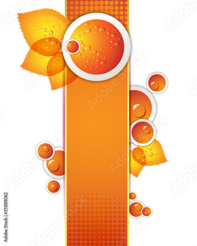 Banner design with leaf and drops