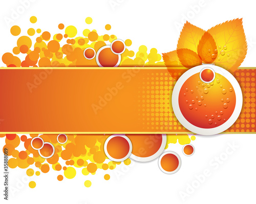 Banner design with leaf and drops