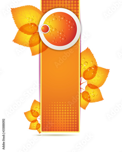 Banner design with leaf and drops