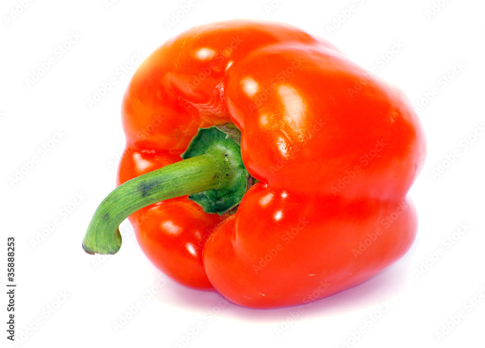 pepper pepper