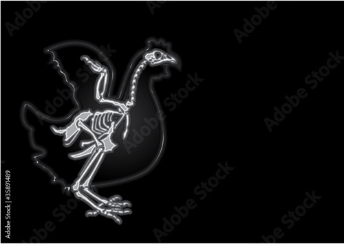 x-ray chicken