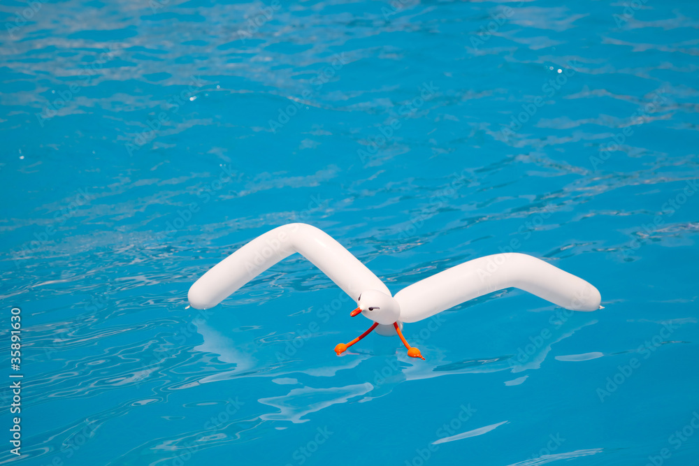 air balloon seagull floating in aqua water