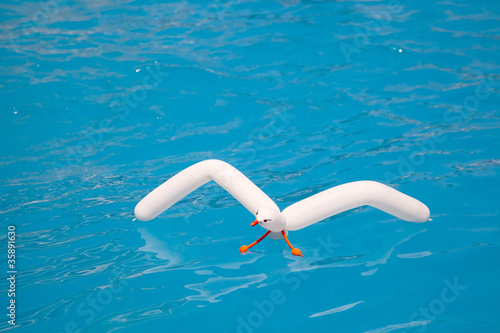air balloon seagull floating in aqua water