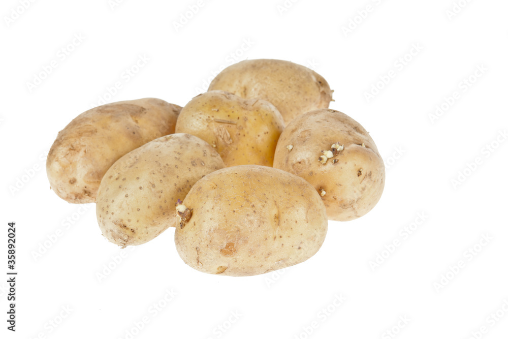 Fresh potatoes on white background Fresh potatoes on white background
