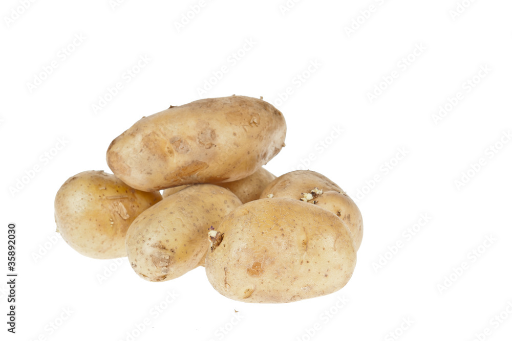Fototapeta premium Fresh potatoes on white background