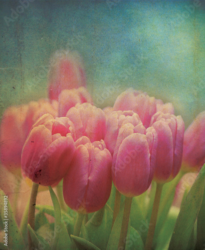 Grungy Tulips