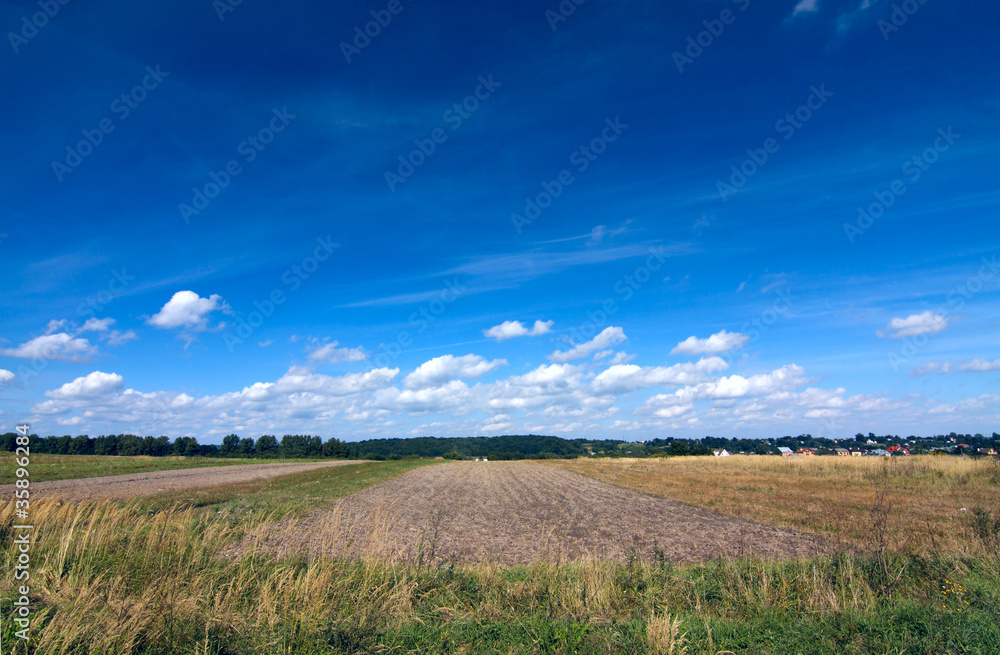 Ukrainian fields view