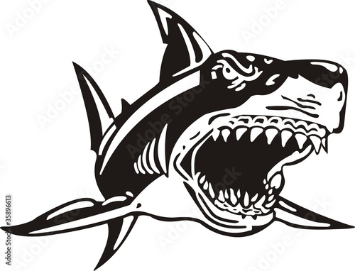 Shark