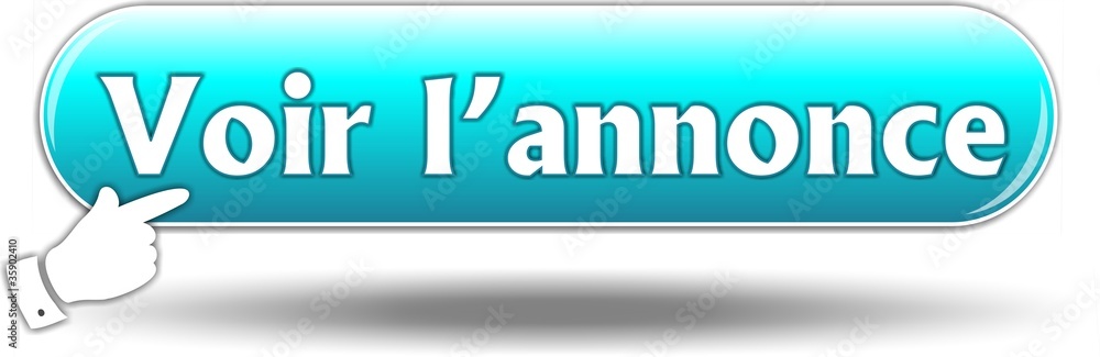 bouton voir l'annonce bouton voir l'annonce