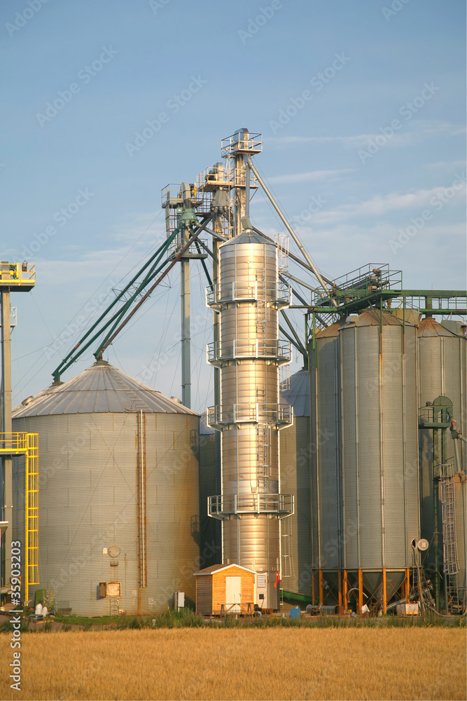 Obraz premium Grain Silos
