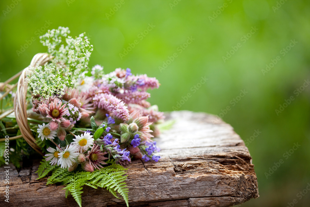 Come Usare Un Bordatore Per Aiuole Per Linee Perfette - Foto 3