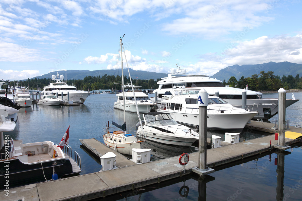 Fototapeta premium Luxury yachts & sailboat moored in a marina, Vancouver BC Canada