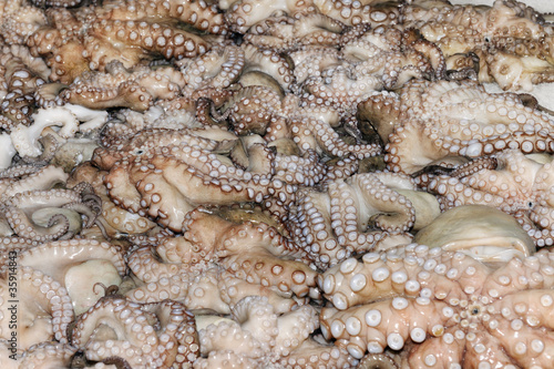 Fresh octopus on market stall in Chania