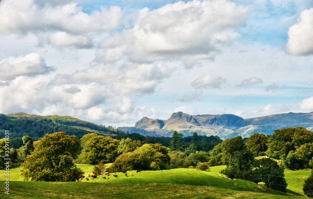 The Langdale Pikes viewed from Latterbarrow