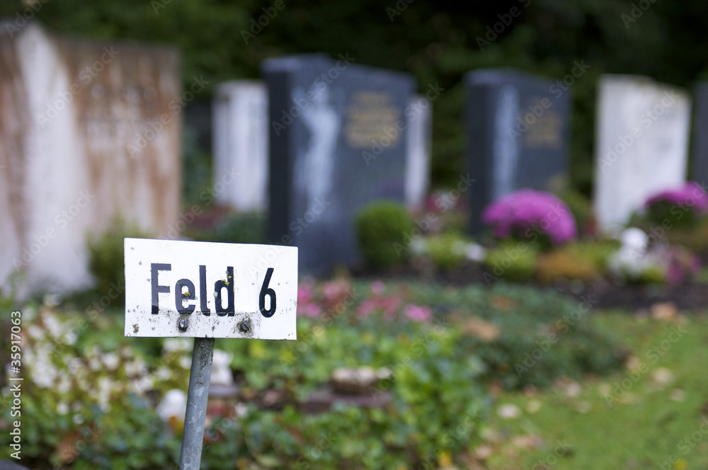 Friedhof - Feld 6