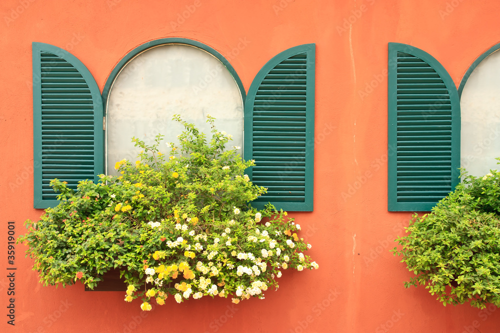 Fototapeta premium Window and flower box