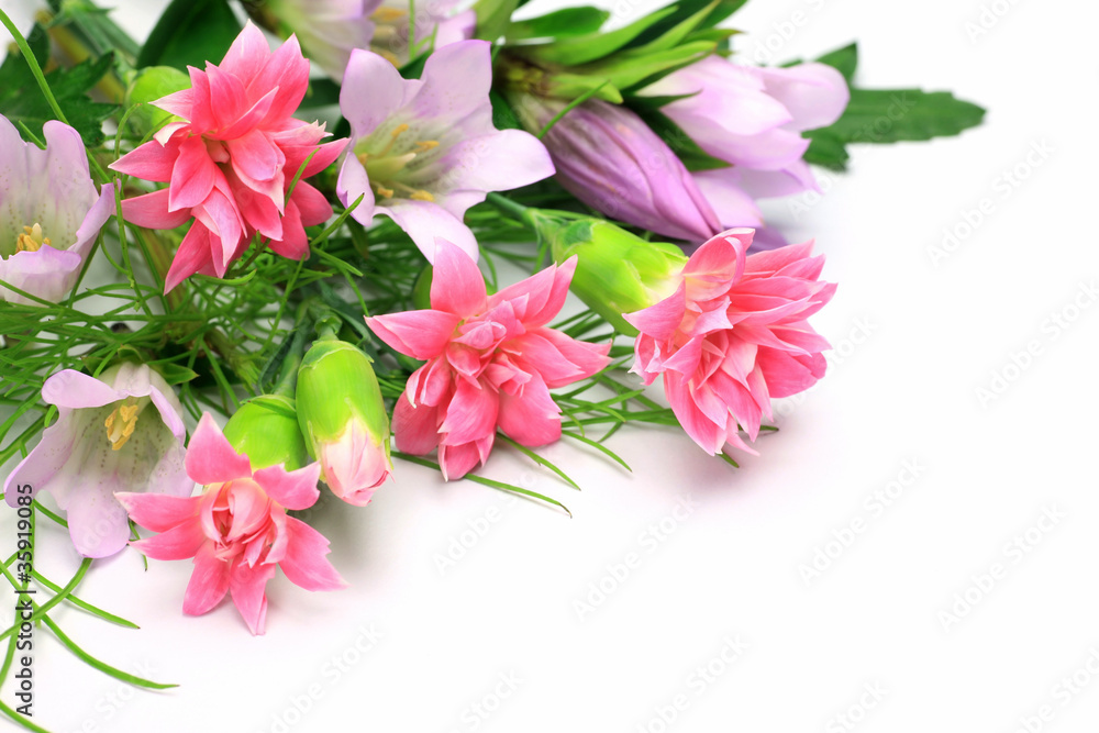 carnation and gentian