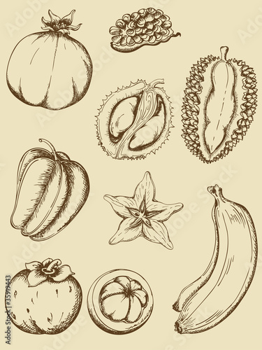 Vintage fruits